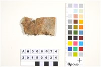 藏品(人頭蓋骨)的圖片